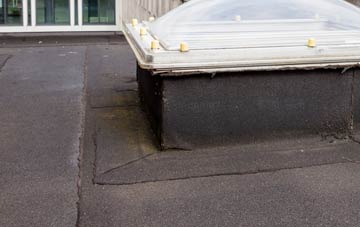 disadvantages of Balmeanach flat roofs