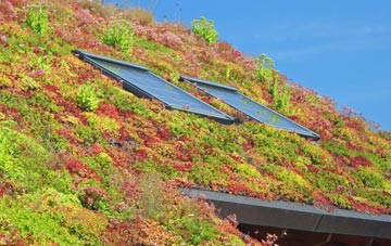 Balmeanach living roof systems