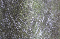 Balmeanach fibreglass roof work